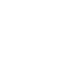 AI Model Engineering