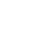 Discovery & Strategy