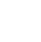 Software Consulting Services white