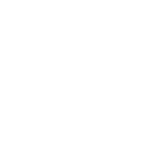 API Development Services white