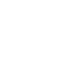 Software Integration Services white