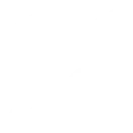 Hybrid Support Model