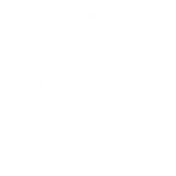 Delivery and Ongoing Support