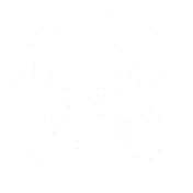 Legacy System Modernization