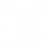 QA & Product Testing