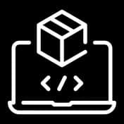 MVP Development Services