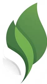 Spring Boot