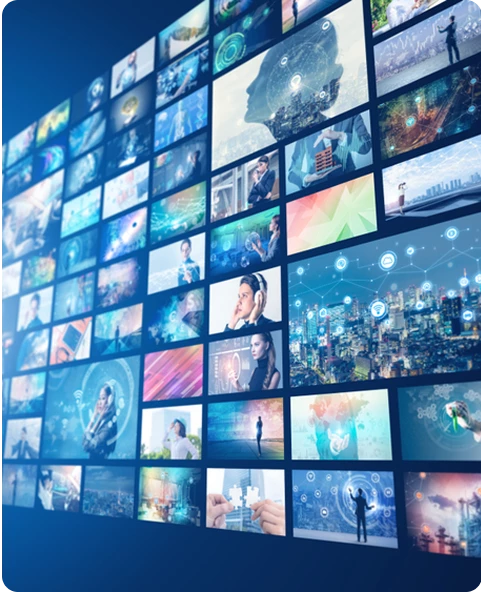 Travel & Hospitality